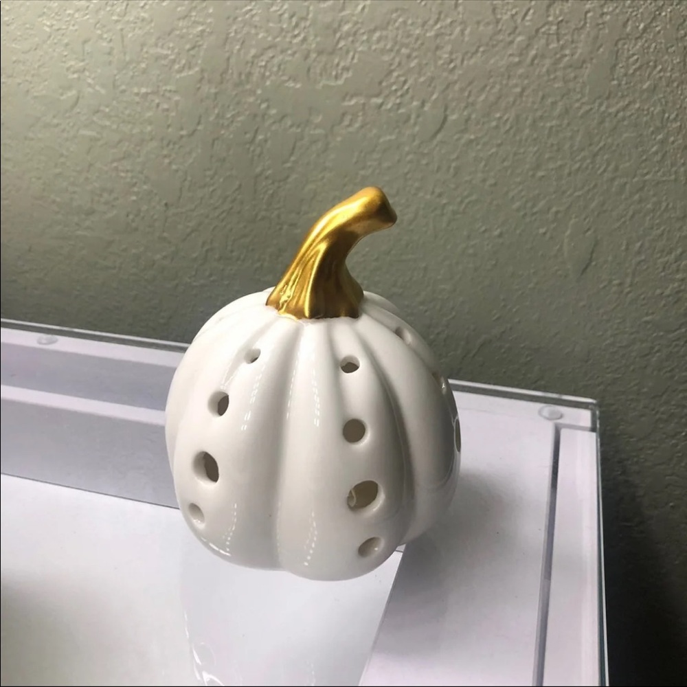 Porcelain white Pumpkin